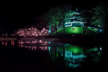 【新潟】高田公園の夜桜ライトアップ