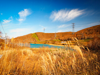 【新潟】苗場 ドラゴンドラ 苗場高原を散策