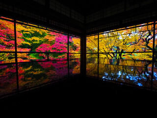 【京都】瑠璃光院の紅葉