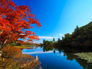 【福島】秋の蛇の鼻遊楽園の紅葉
