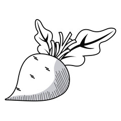 fresh eggplant vegetable drawn icon