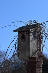 Birdhouse under a blue sky
