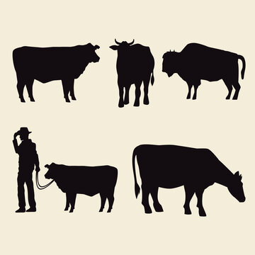 cows animals silhouettes and cowboy icons