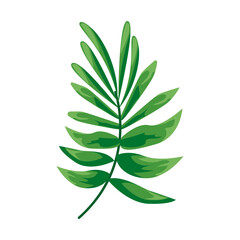 tropical leave plant green nature isolated icon
