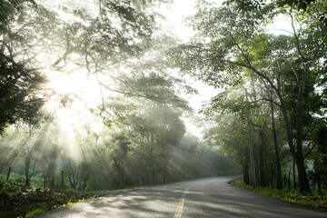 Carretera con rayos de luz del amancecer