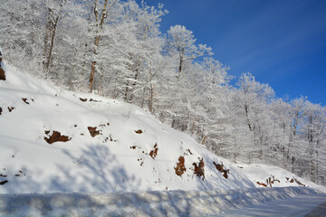 Fototapety na wymiar - Fototapeta24.pl