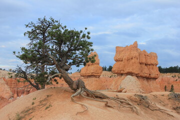 Bryce Canyon