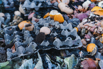 Recycling food organic waste to fertilize the vegetable garden