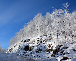Fototapety na wymiar - Fototapeta24.pl