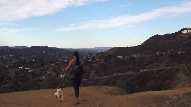 Slow motion Hispanic female walking dog down hills, passes Hollywood sign