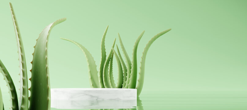 White marble podium, Cosmetic display product stand with aloe vera leaf on green background. 3D rendering