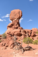Fototapeta na wymiar Balanced Rock formation in Arches National Park, Utah.