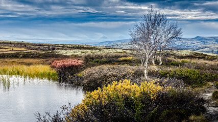 Rondane National Park. Autumn. Landscape nature Norway. Amazing Norway. 