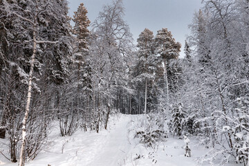 Winter road covered with heavy snow on the ground. Turn ahead.