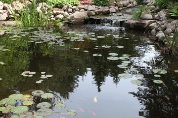 pond with lilies,  GREEN TREE,  REFLECTION , WATER, STONE, 