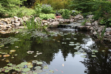 Fototapeta na wymiar pond in the garden, LILY PAD, MAINTAIN GARDEN, WATER LILIES, SHALLOW LAKES, 