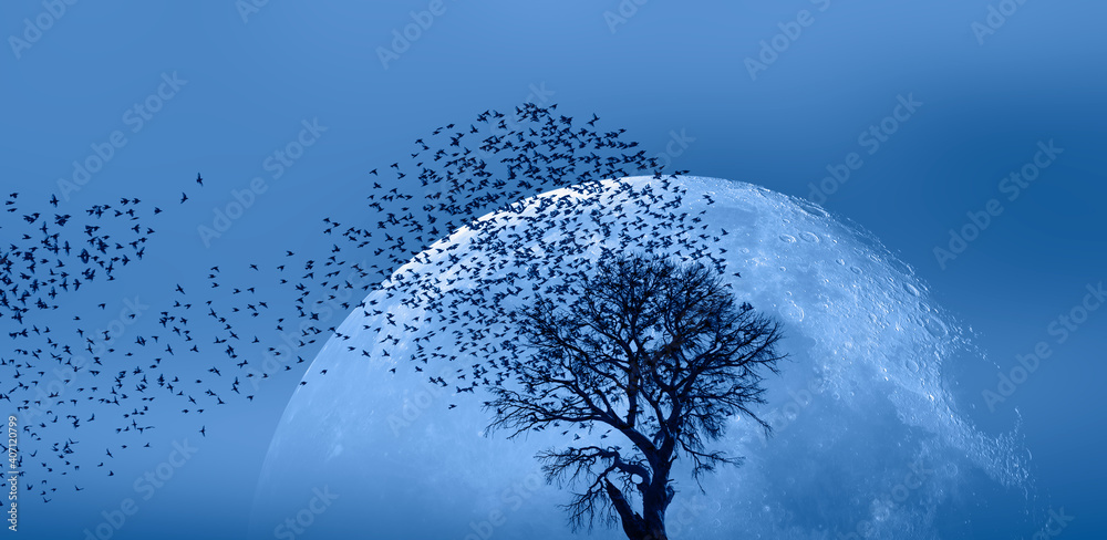 Poster lone dead tree with silhouette of birds flying, full moon rising in the background 