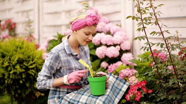 Happy woman gardener planting hydrangea flower in the garden.