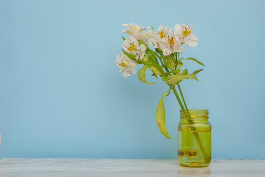 Ramo de flores blancas en un florero amarillo con un fondo de color azul. Concepto decoraci&oacute;n de interiores elegante