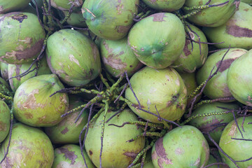 Green coconuts for use cooking food