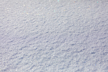 snow on the snow