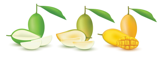 Whole yellow mango with half leaves isolated on white background. Vector illustration.