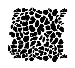 Animal print, background for your design