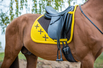 Close-up of a saddled horse with a yellow saddle cloth