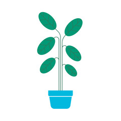 Plant in a pot. Modern houseplant icon. Vector illustration.