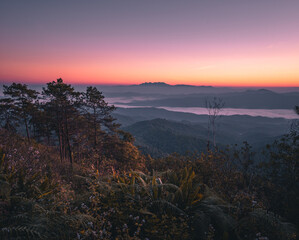 purple light in the early morning,Landscape mountain in the morning