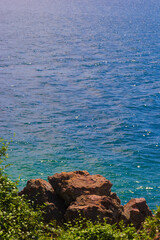 Tree and mountain rock on beach and see the blue sea background daytime