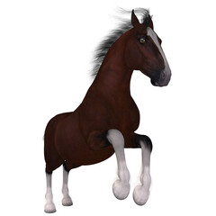 3d render of a draft horse