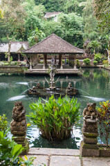 Templo hinduista de agua del manantial sagrado en Bali. Indonesia