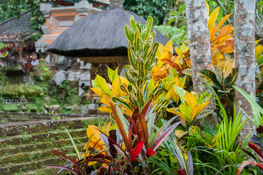 Templo hinduista de agua del manantial sagrado en Bali. Indonesia