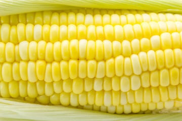 Corn