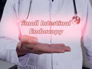  Small Intestinal Endoscopy inscription on the sheet.