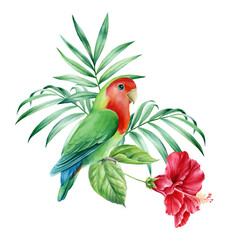 Palm leaves, parrots-lovebird and hibiscus flowers on a white background, watercolor illustration