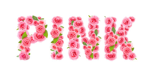 Word PINK made of beautiful roses on white background