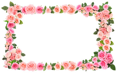 Frame made of beautiful pink roses on white background
