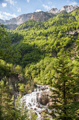 Fototapeta na wymiar Ruta de senderismo de la cola de Caballo por el río con cascadas. Torla, parque nacional de Ordesa y Monte Perdido