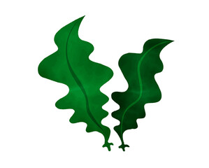 免疫力を高める食材／糖質制限／栄養食／水彩／海藻