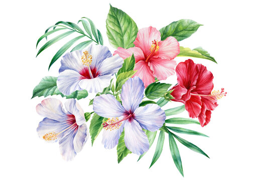 Bouquet with leaves of palm trees, tropical flowers hibiscus on a white background, watercolor botanical illustration