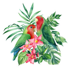 Composition with parrots-lovebird and palm leaves, tropical flowers on a white background, watercolor illustration
