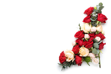 Beautiful fresh roses on white background