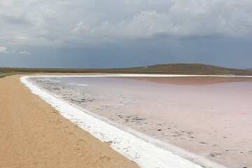Pink lake, martian landscape, wildlife