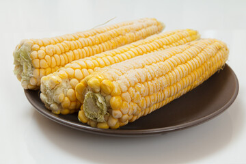 Plate with frozen corn on plate with white background