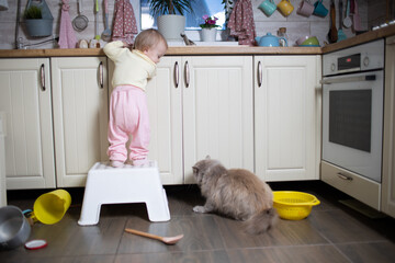 Baby plays in the kitchen,