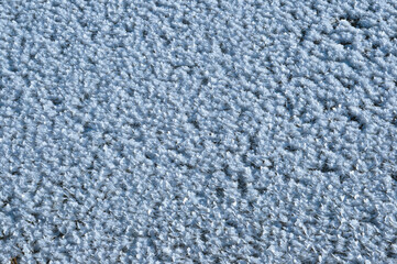 Frost crystals on the ice surface closeup