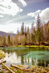 lake in the mountains in autumn