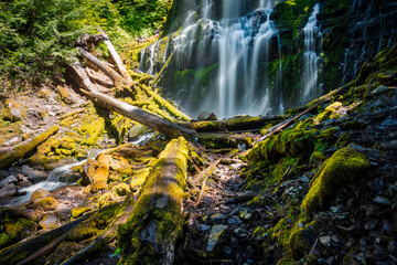Proxy Falls, Willamette National Forest, Oregon